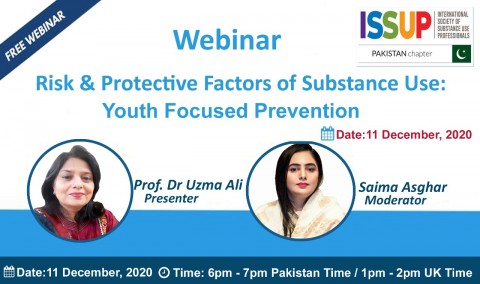 Webinar Risk Protective Factors of Substance Use Youth